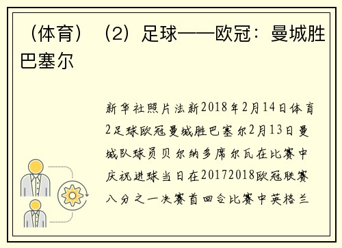 （体育）（2）足球——欧冠：曼城胜巴塞尔